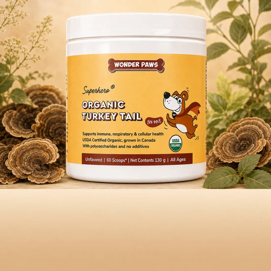 Organic Turkey Tail- Tu peludo también necesita suplementarse